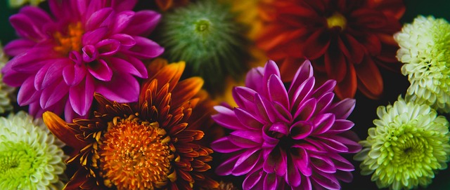 他以实际行 他以实际行