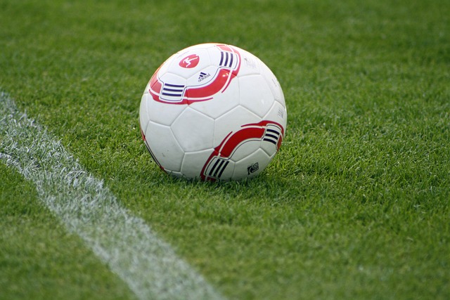 了俱乐部的 了俱乐部的