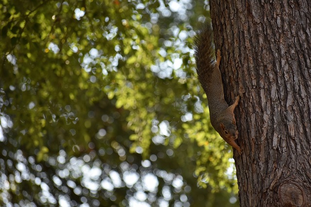 家涉及多个 家涉及多个