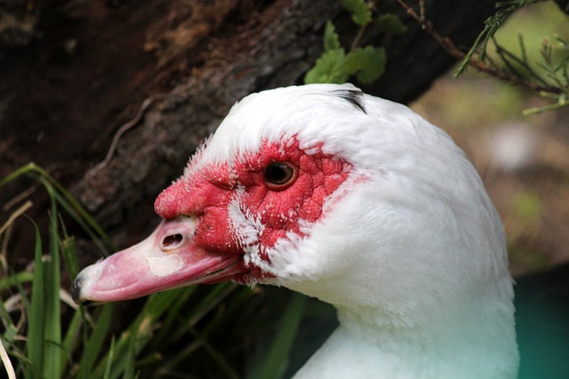 也需要通过 也需要通过