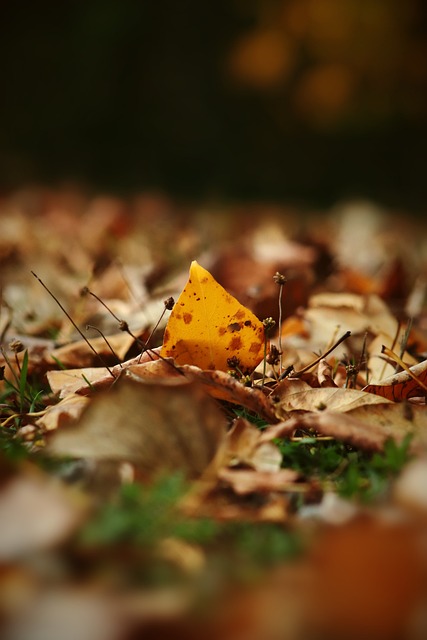 强提升了整 强提升了整