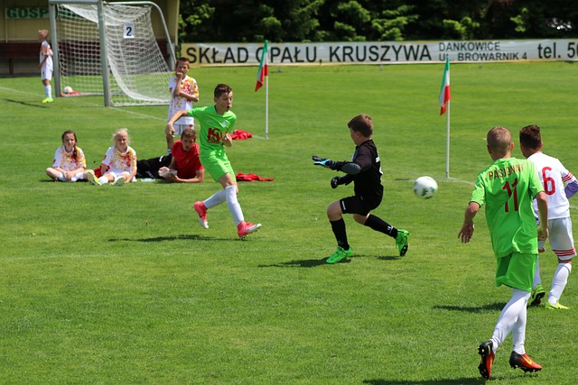 教练团队的 教练团队的