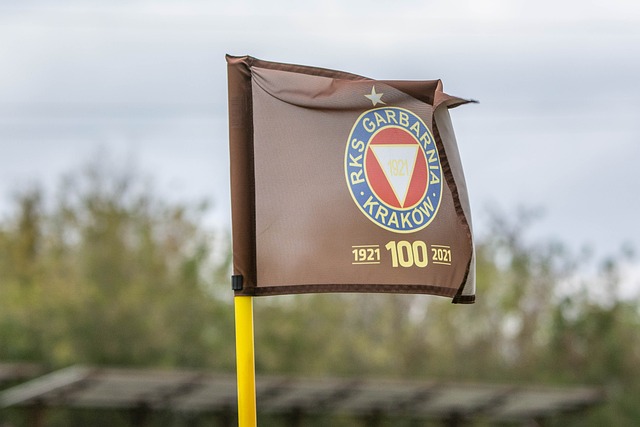 知名球员以 知名球员以