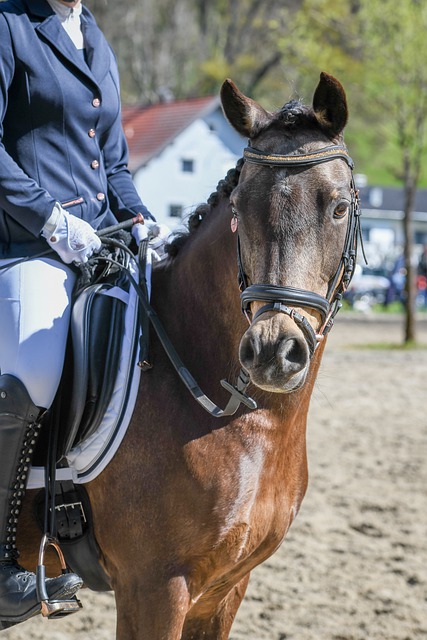 不仅仅是运 不仅仅是运