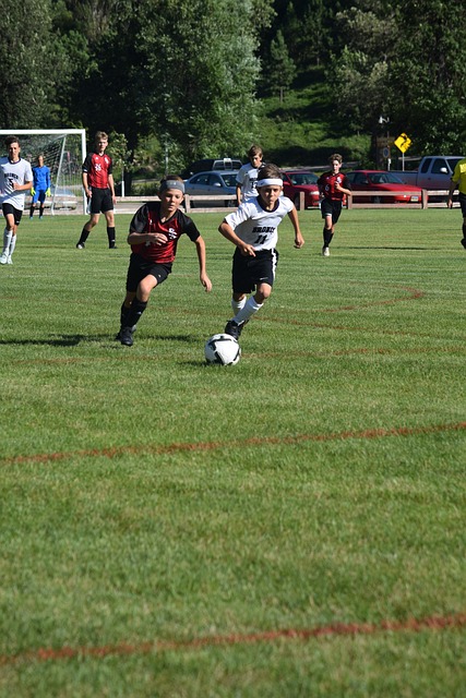 莱万多夫斯 莱万多夫斯